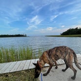 Review photo of Davis Bayou Campground — Gulf Islands National Seashore by René M., August 11, 2021