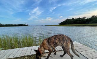 René M.'s photo of camping with pets at Davis Bayou Campground — Gulf Islands National Seashore near Moss Point, MS