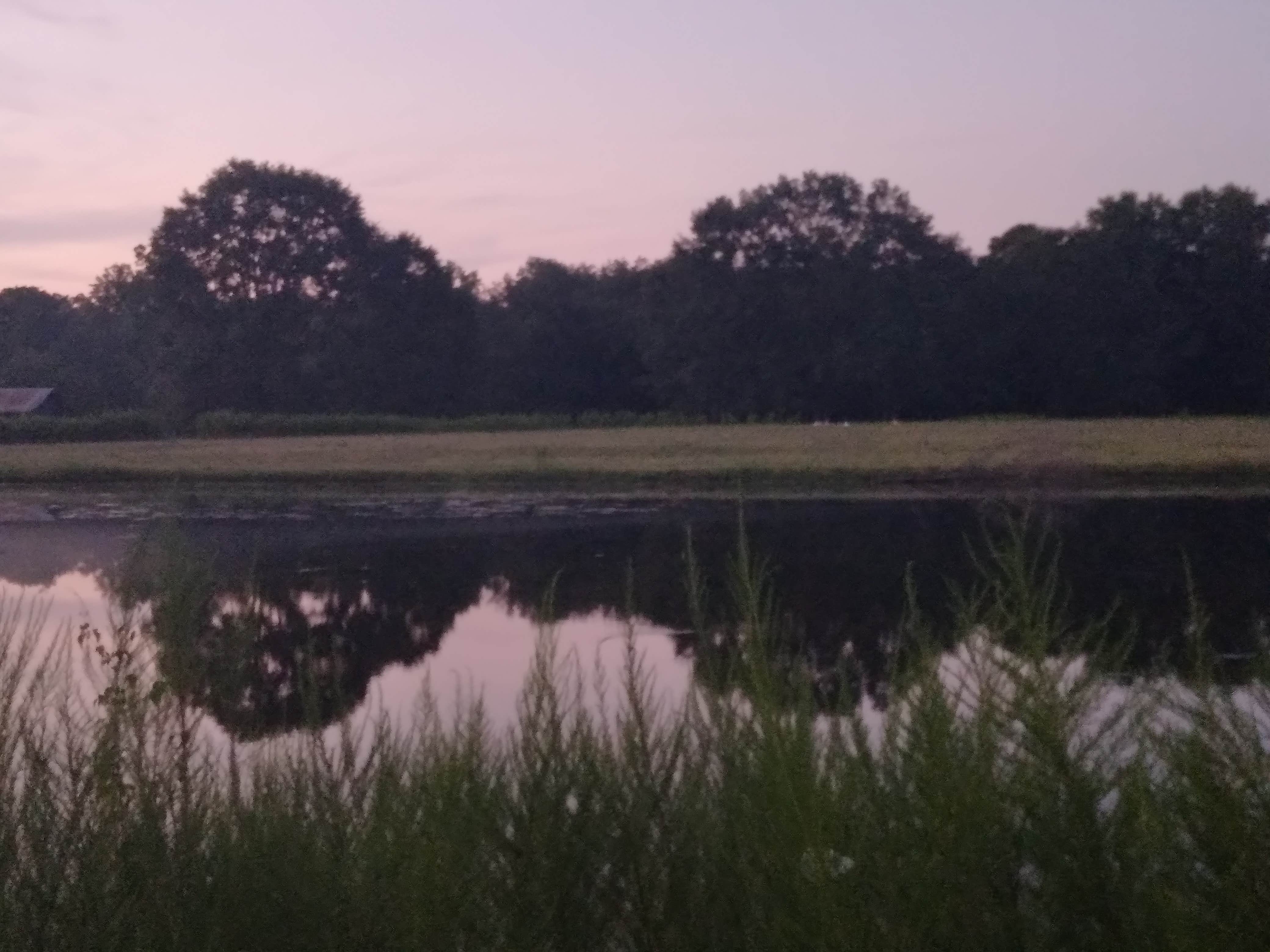 Camper-submitted photo at Mike’s Place RV Park near Beaumont, MS