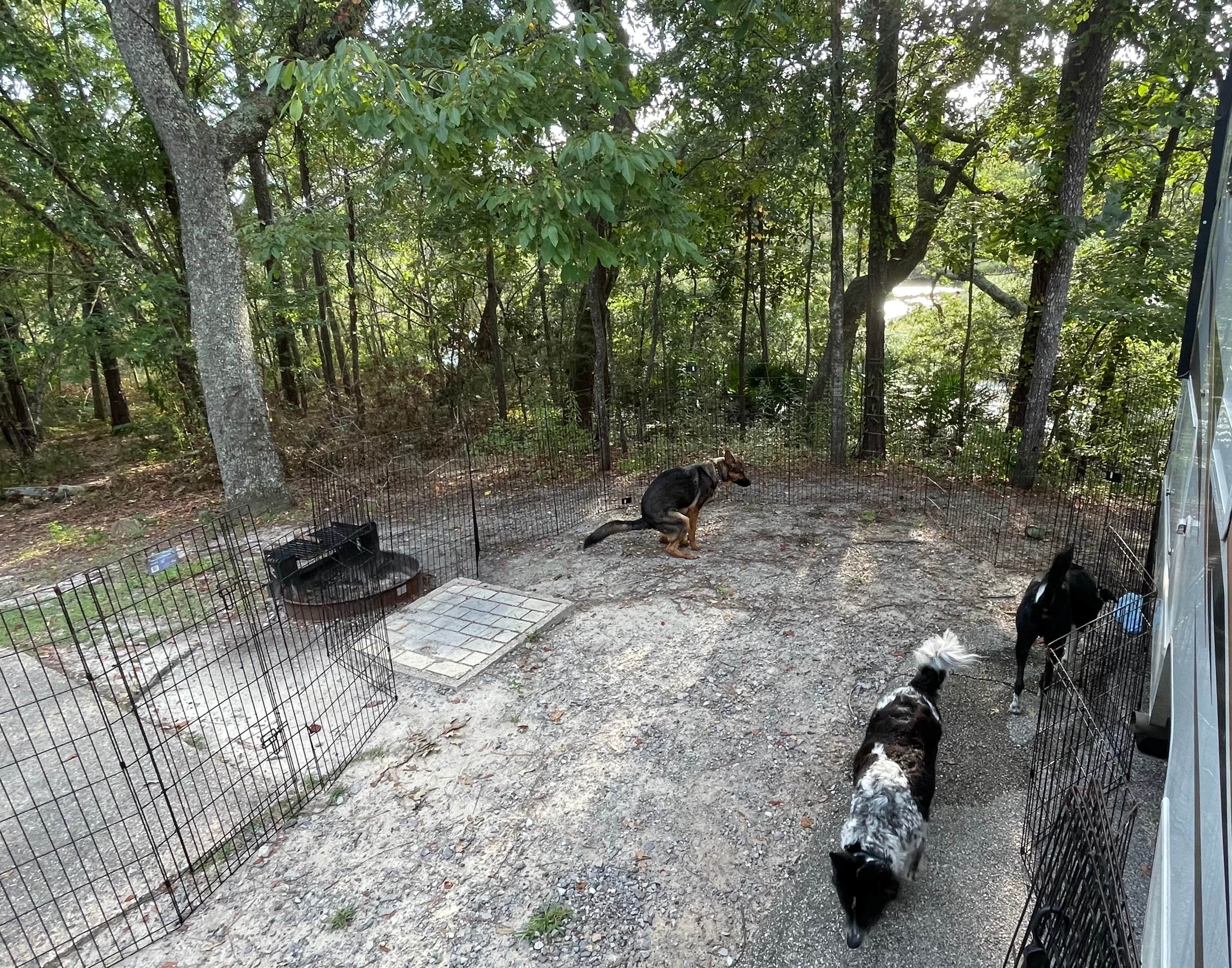 René M.'s photo of camping with pets at Davis Bayou Campground — Gulf Islands National Seashore near Lucedale, MS