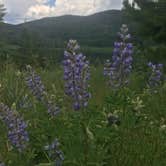 Review photo of Pearl Lake State Park Campground by Christina A., June 18, 2018