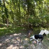 Review photo of Fontainebleau State Park Campground by René M., August 10, 2021