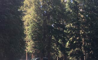 Christina A.'s photo at Idlewild Campground near Winter Park, CO