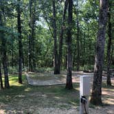 Review photo of St. Joe State Park Campground by Bonita C., August 11, 2021