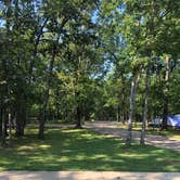 Review photo of St. Joe State Park Campground by Bonita C., August 11, 2021