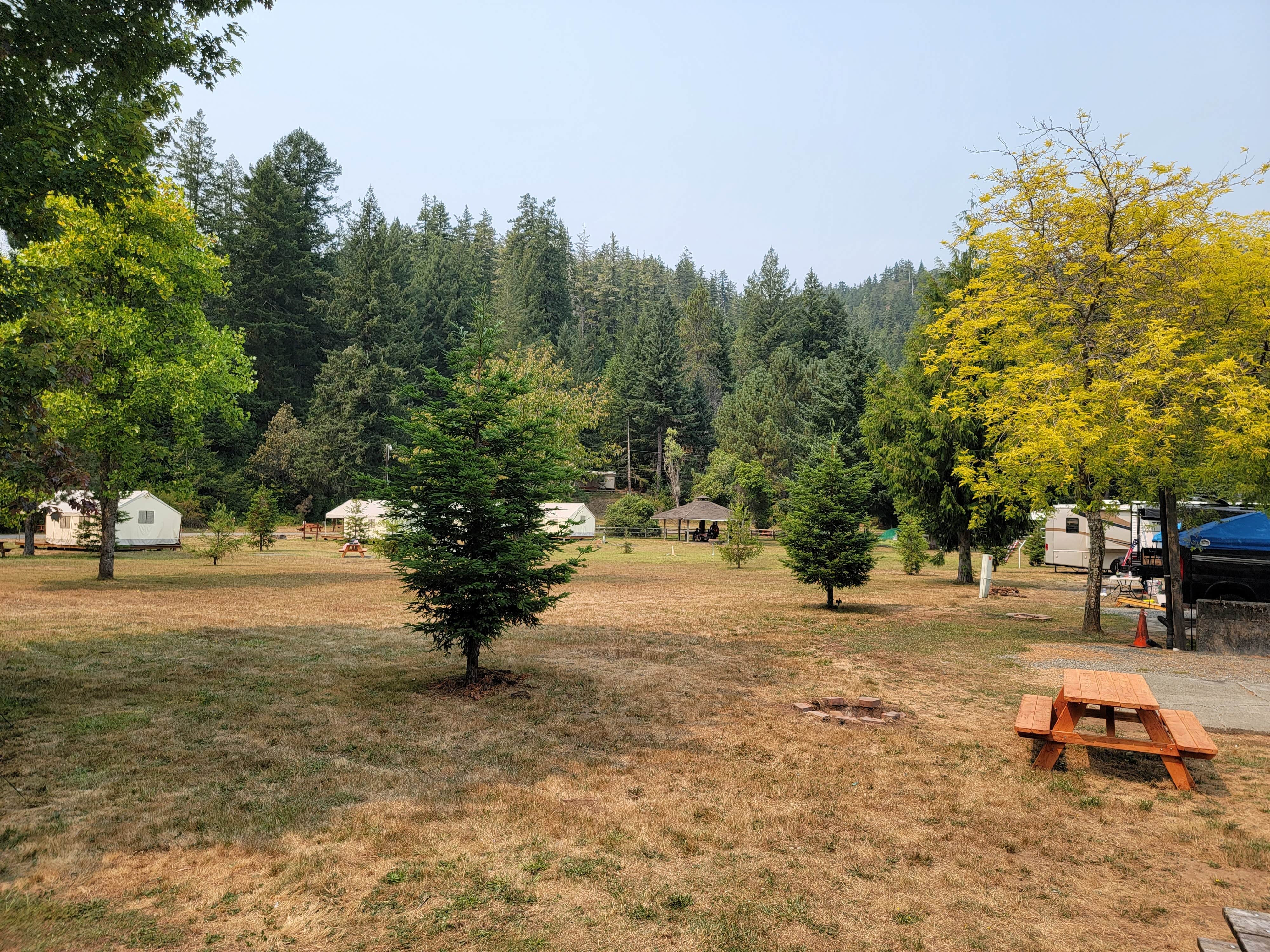 Camper submitted image from Redwood Meadows RV Resort - 5