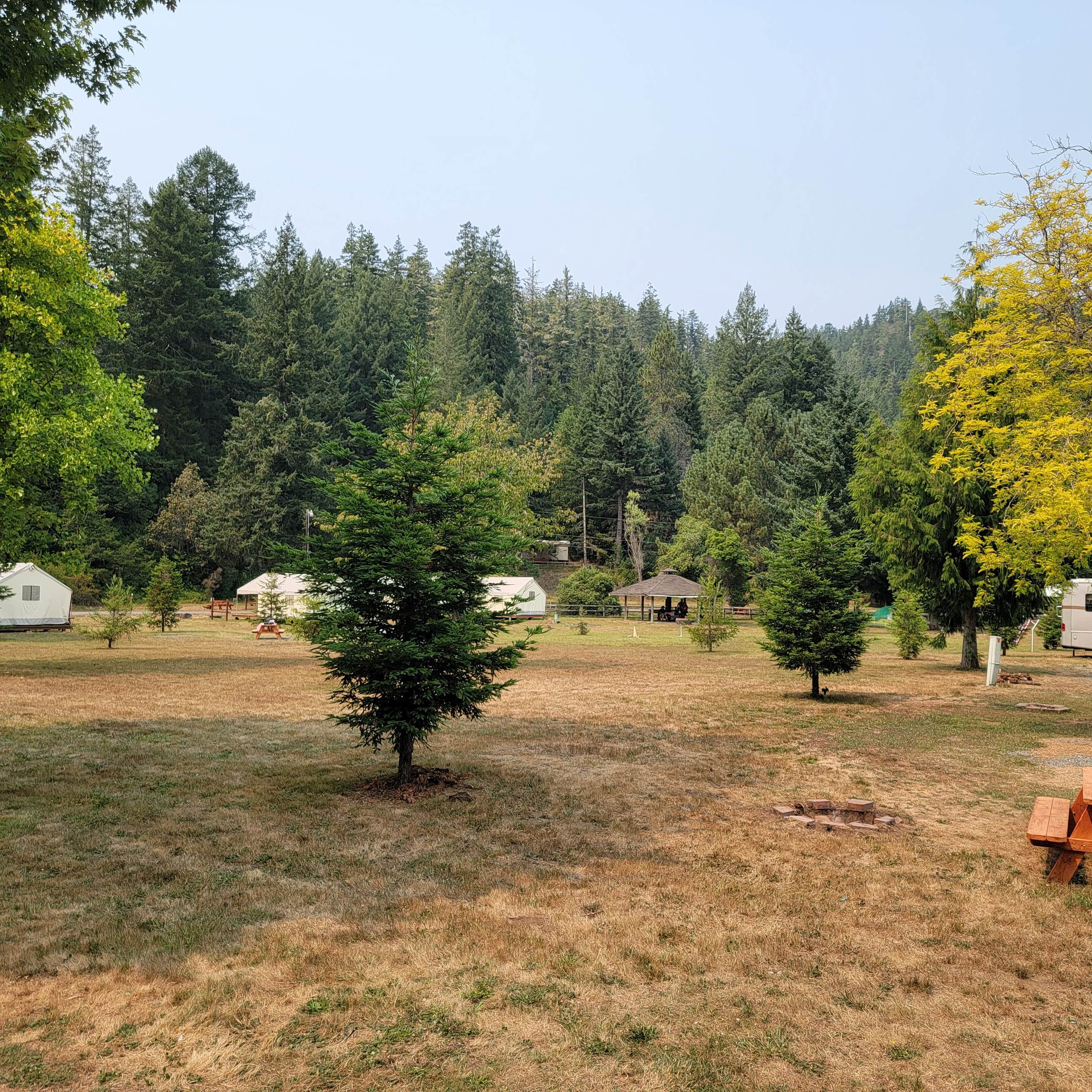 Redwood Meadows RV Resort The Dyrt Redwood Meadows RV Resort The Dyrt