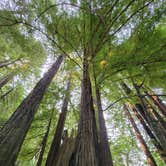 Review photo of Redwood Meadows RV Resort by Julia P., August 11, 2021