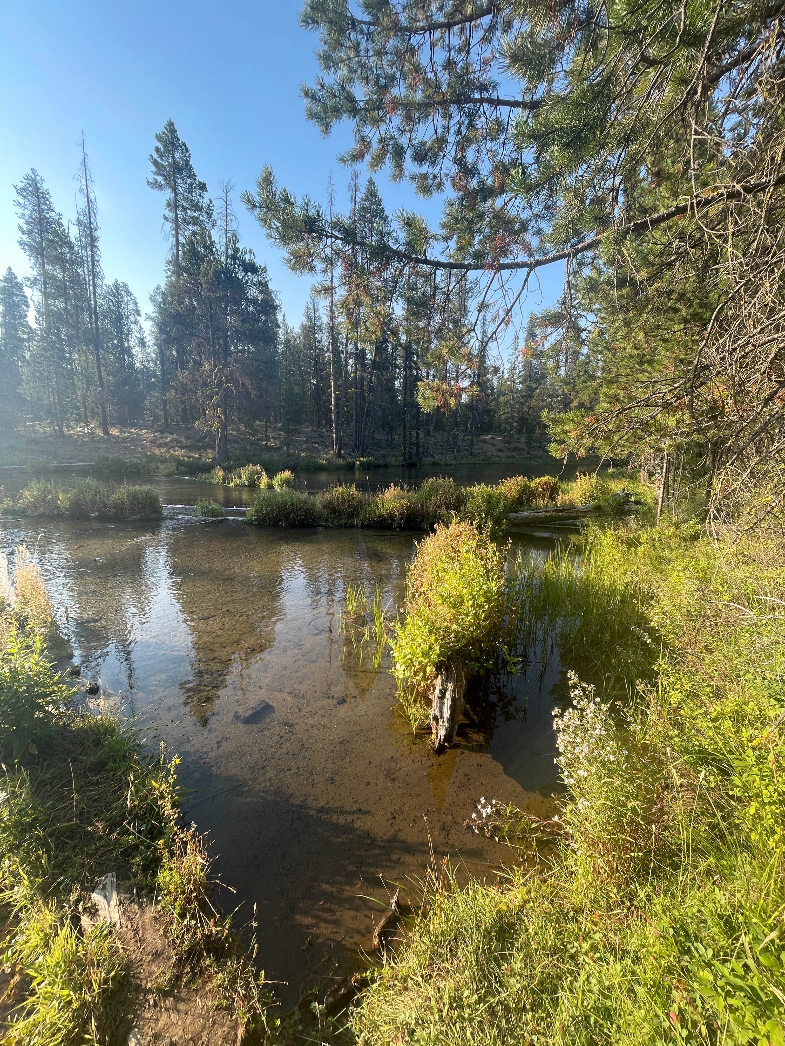 Best camping near La Pine, Oregon The Dyrt