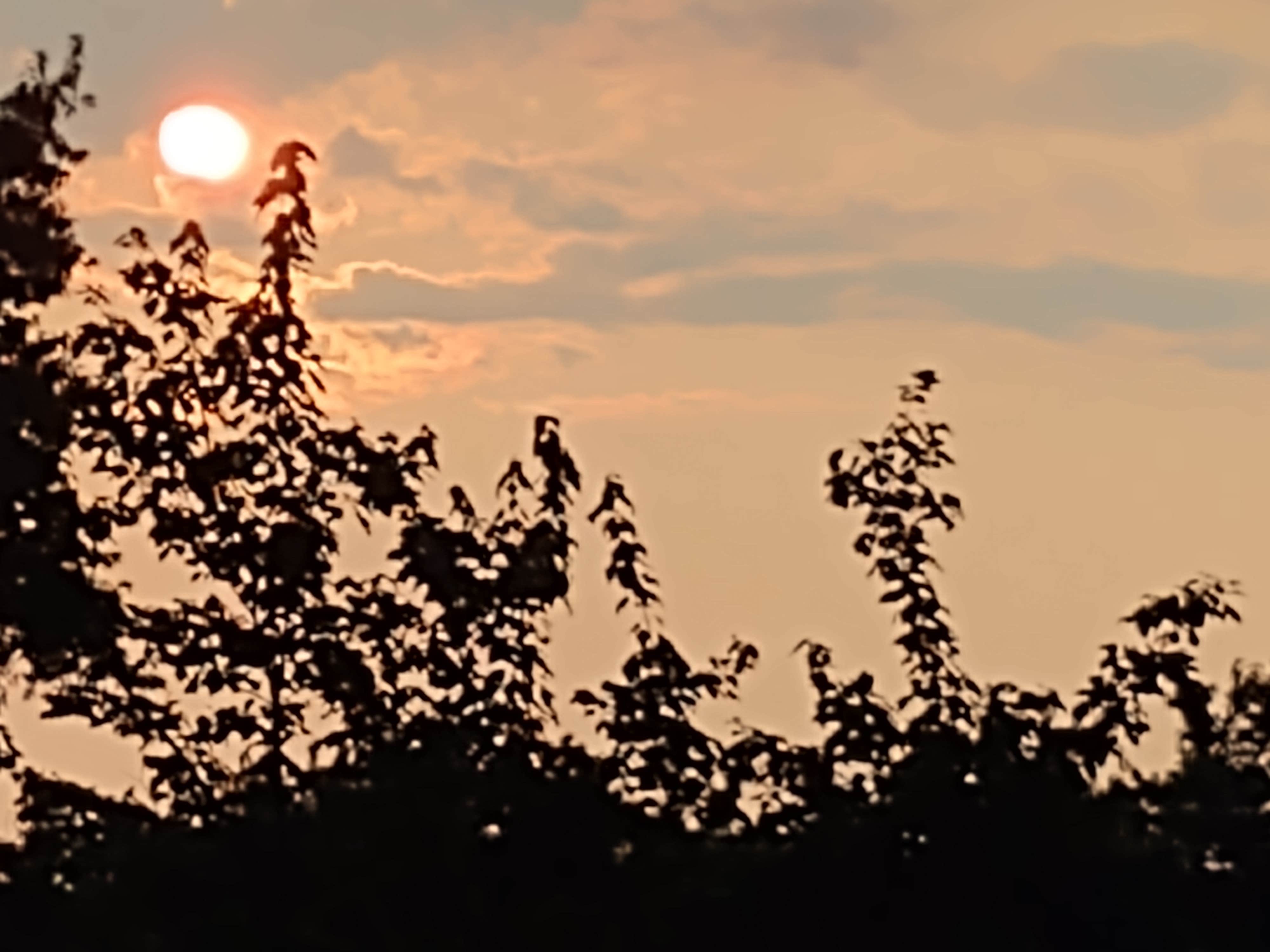Camper-submitted photo at Two Rivers Campground near Warsaw, KY