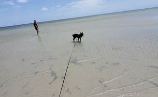 Tessa B.'s photo of camping with pets at Cedar Island Ranch near Harkers Island, NC