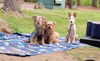 Avran C.'s photo of camping with pets at Rogue Elk County Park near Central Point, OR