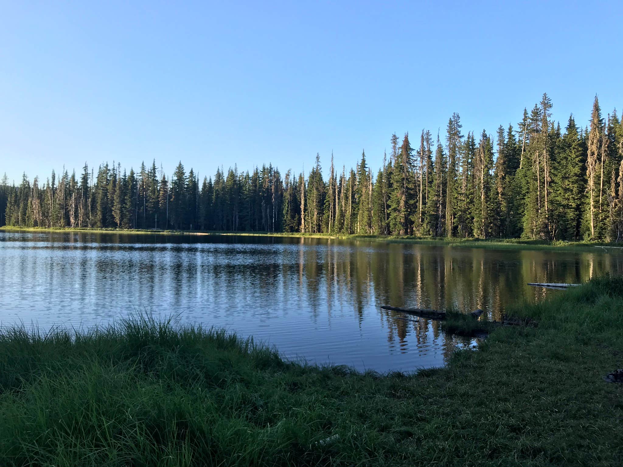 Escape to Serenity: Your Guide to Oregon's Scott Lake Campground