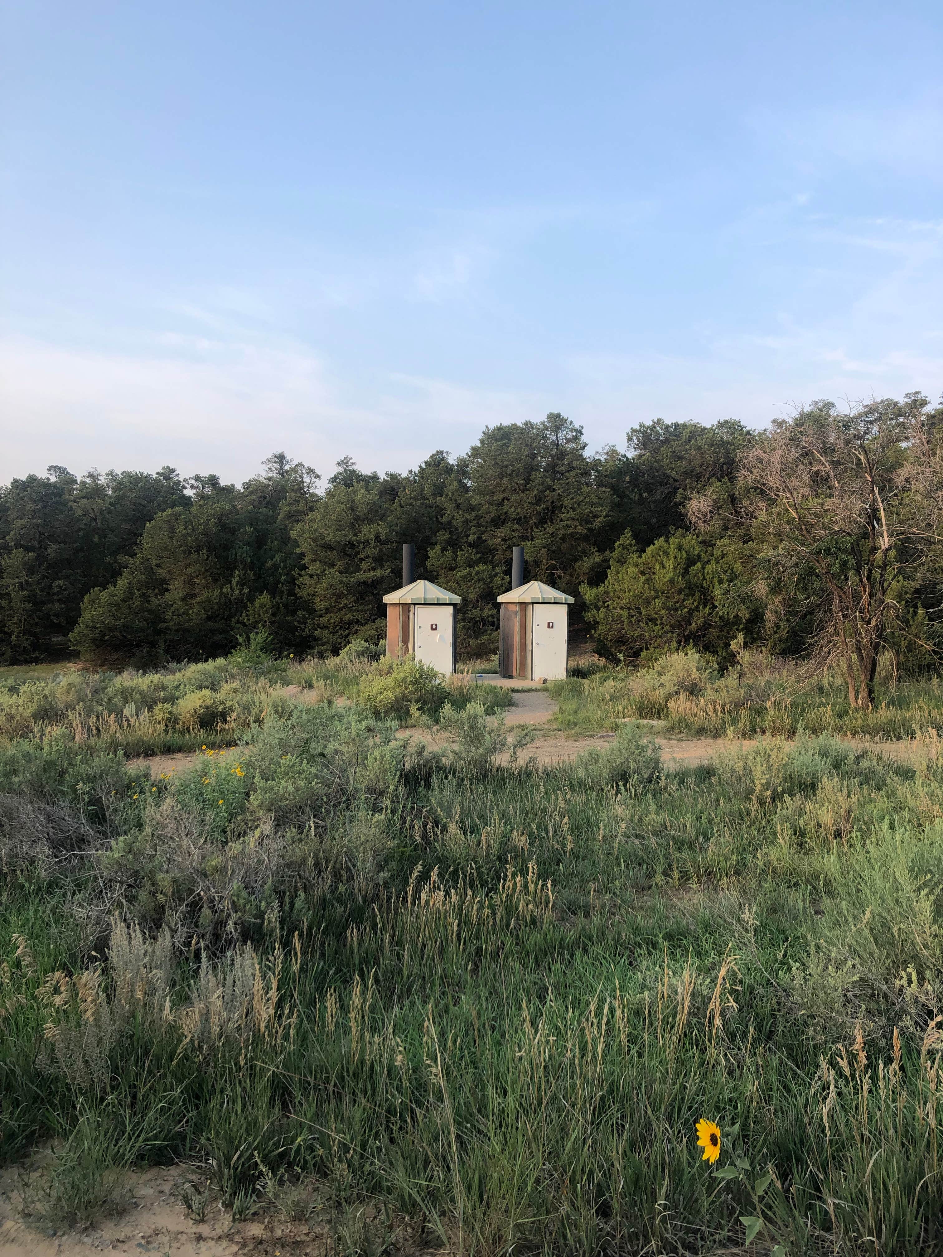 Camper submitted image from Dispersed Camping off FS 542 - 4