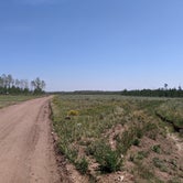 Review photo of Range Study Area - FS Road #217 by Greg L., August 11, 2021