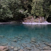 Review photo of Graves Creek Campground — Olympic National Park by Ann P., August 11, 2021