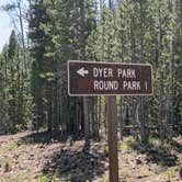 Review photo of Dyer Park FS Rd #547 Dispersed Camping Area by Greg L., August 11, 2021