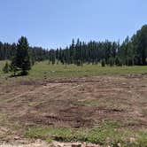 Review photo of Dyer Park FS Rd #547 Dispersed Camping Area by Greg L., August 11, 2021