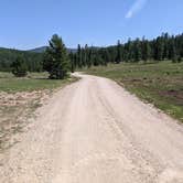 Review photo of Dyer Park FS Rd #547 Dispersed Camping Area by Greg L., August 11, 2021