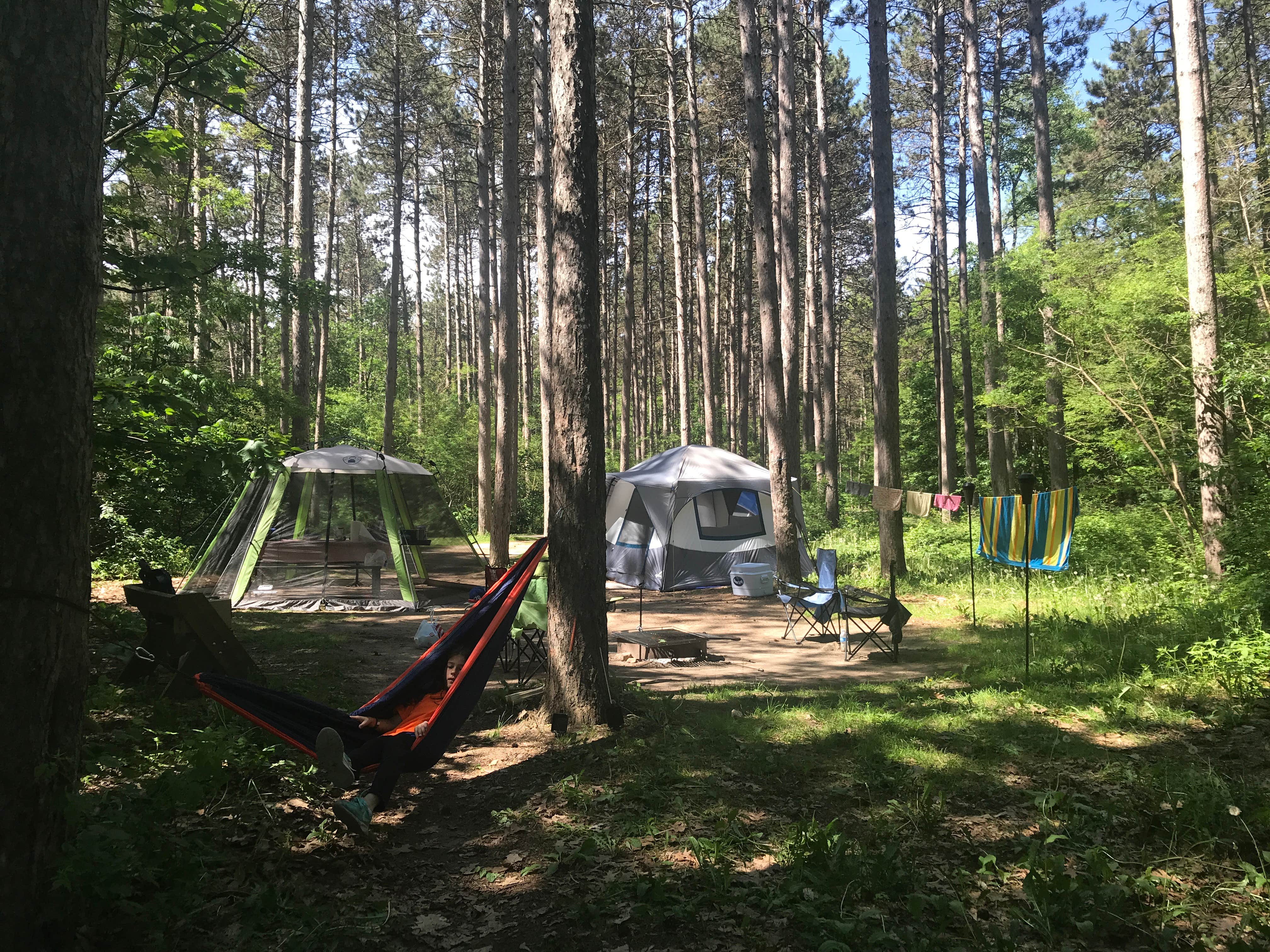 Jen E.'s photo at Hartman Creek State Park Campground near Wisconsin Rapids, WI