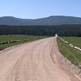 Review photo of East Park Campground - Ashley National Forest by Greg L., August 11, 2021