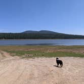 Review photo of East Park Campground - Ashley National Forest by Greg L., August 11, 2021