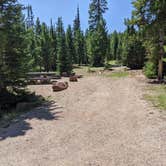 Review photo of East Park Campground - Ashley National Forest by Greg L., August 11, 2021