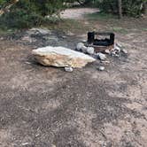 Review photo of Dispersed Camping off FS 542 by Rachel T., August 11, 2021
