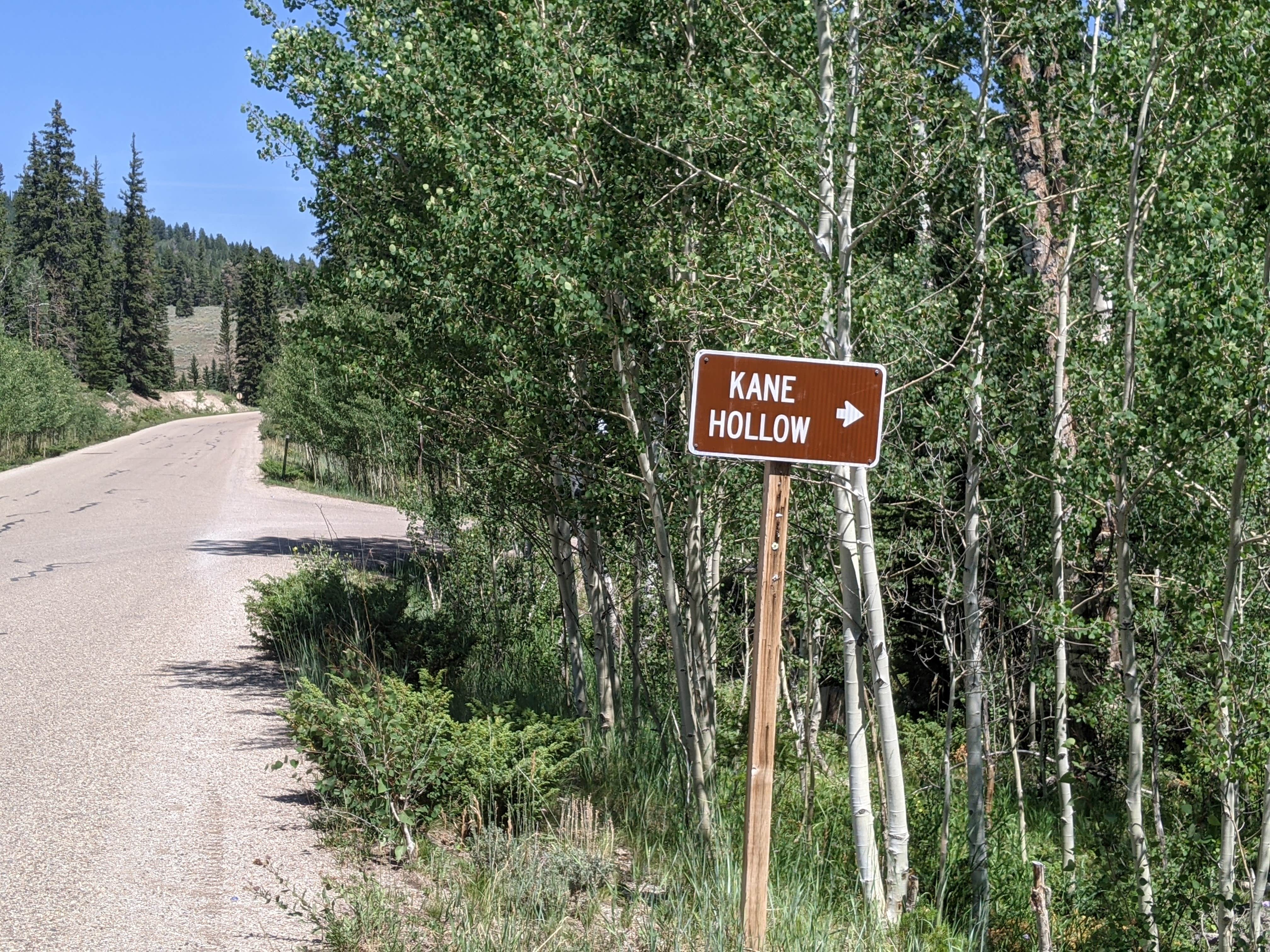 Camper submitted image from Kane Hollow - 5