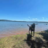 Review photo of Pine Point Campground by Amanda  W., August 11, 2021