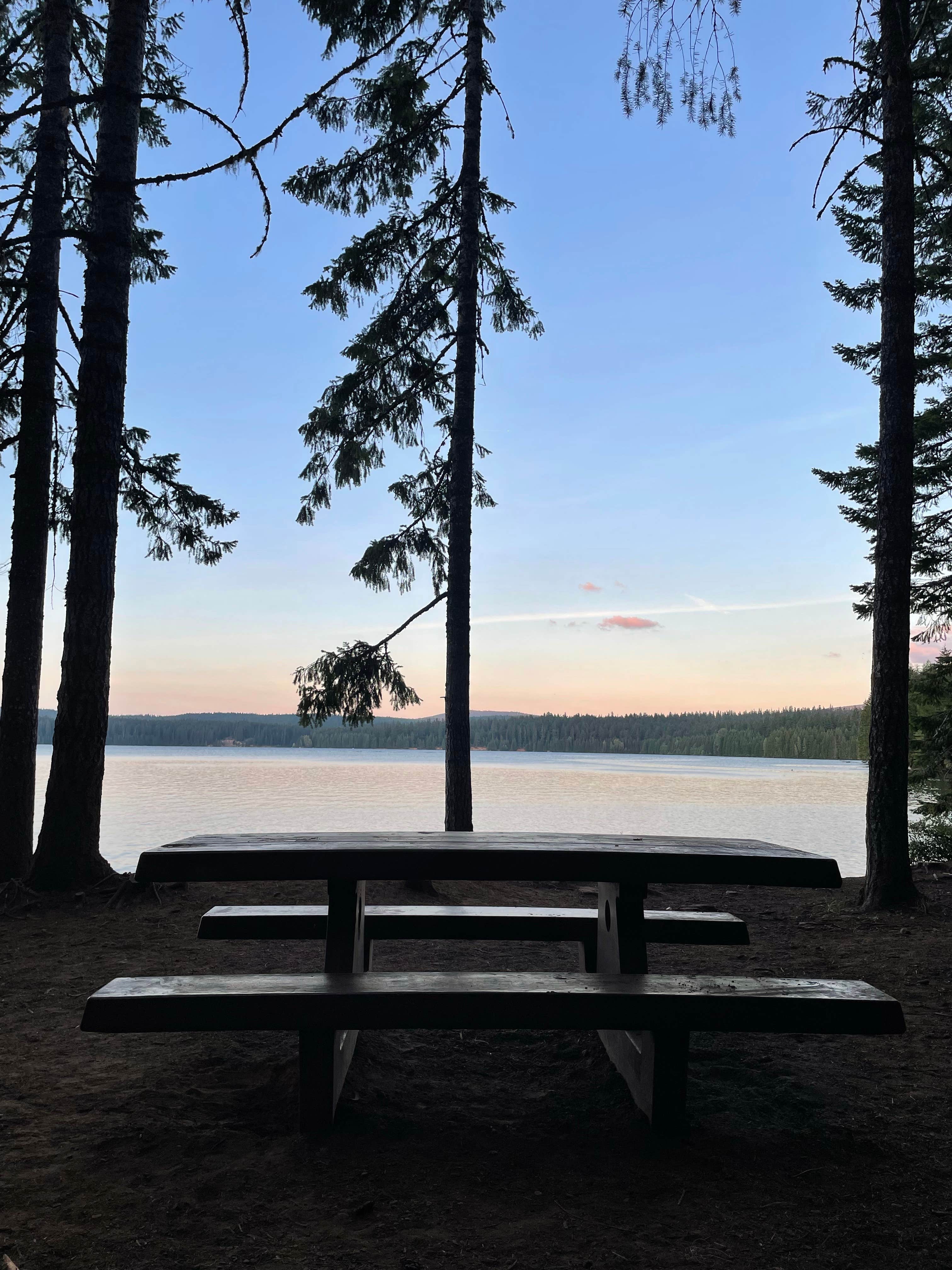 Camper submitted image from Pine Point Campground - 4