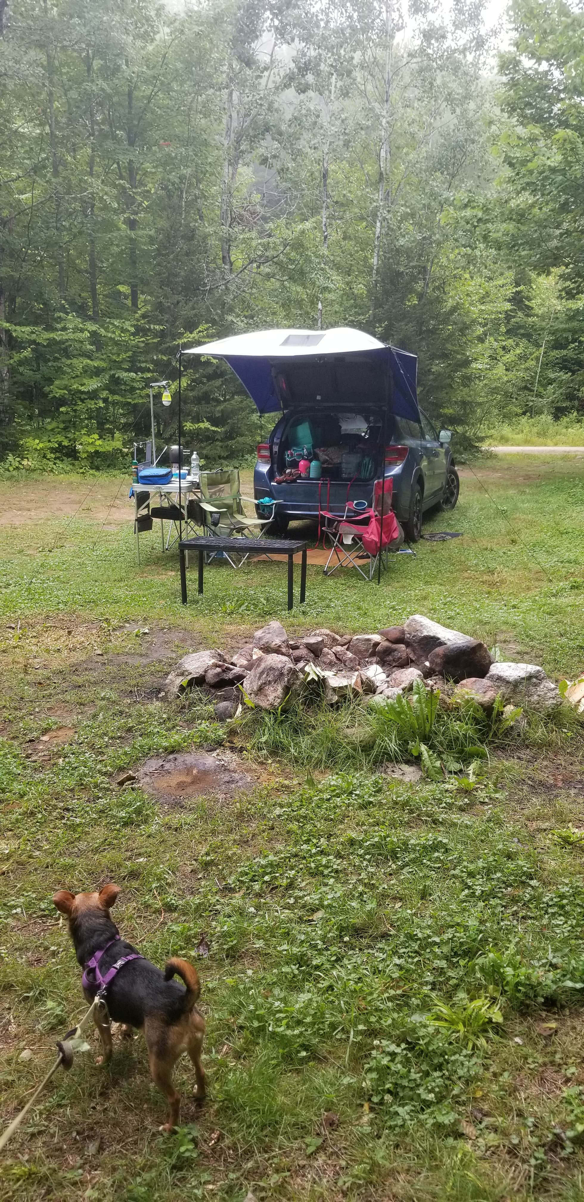 candice J.'s photo of a dispersed camping area at Town Hall Road Dispersed near Peru, ME