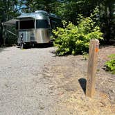 Review photo of Pohick Bay Campground by Cristina G., August 12, 2021