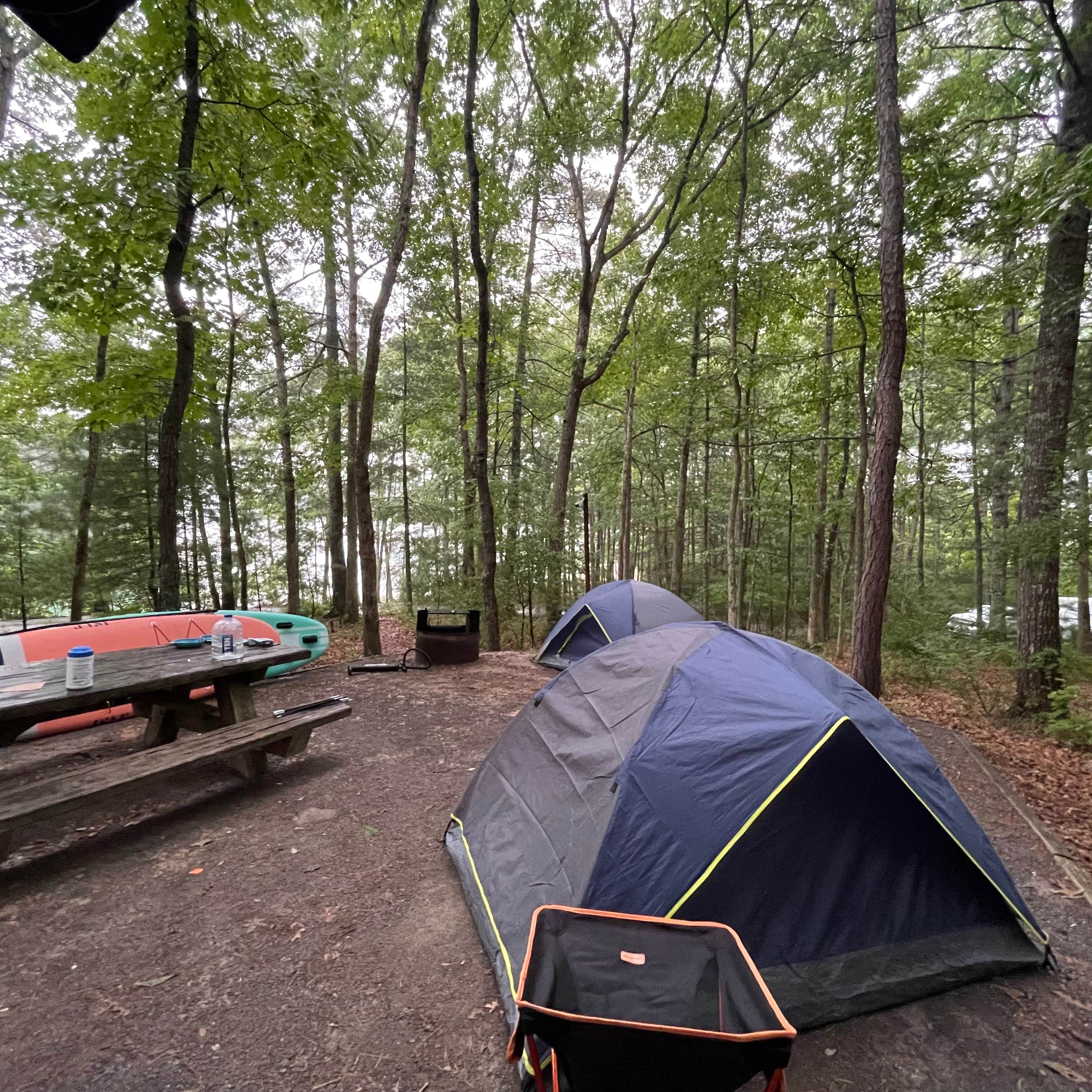 Best camping in George Washington & Jefferson National Forest | The Dyrt