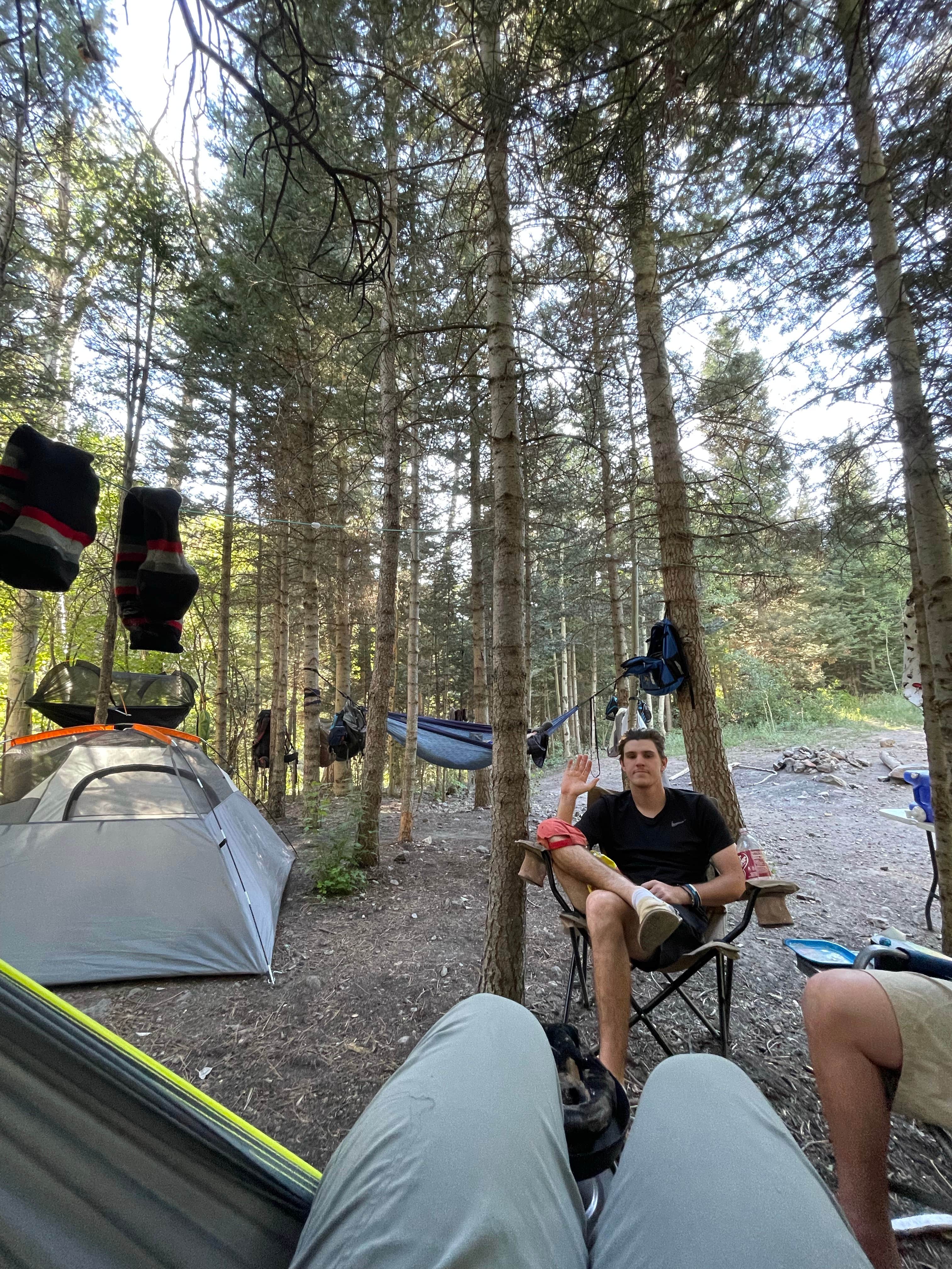Camper-submitted photo at County Road 14, Dexter Creek Backcountry near Ouray, CO