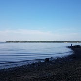 Review photo of Elk Neck State Park Campground by Jyll G., August 12, 2021