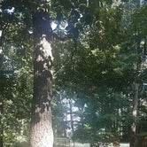 Review photo of Elk Neck State Park Campground by Jyll G., August 12, 2021