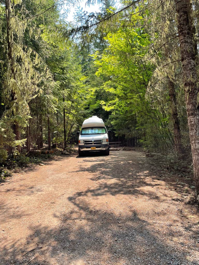 Camper submitted image from Gone Creek - 4