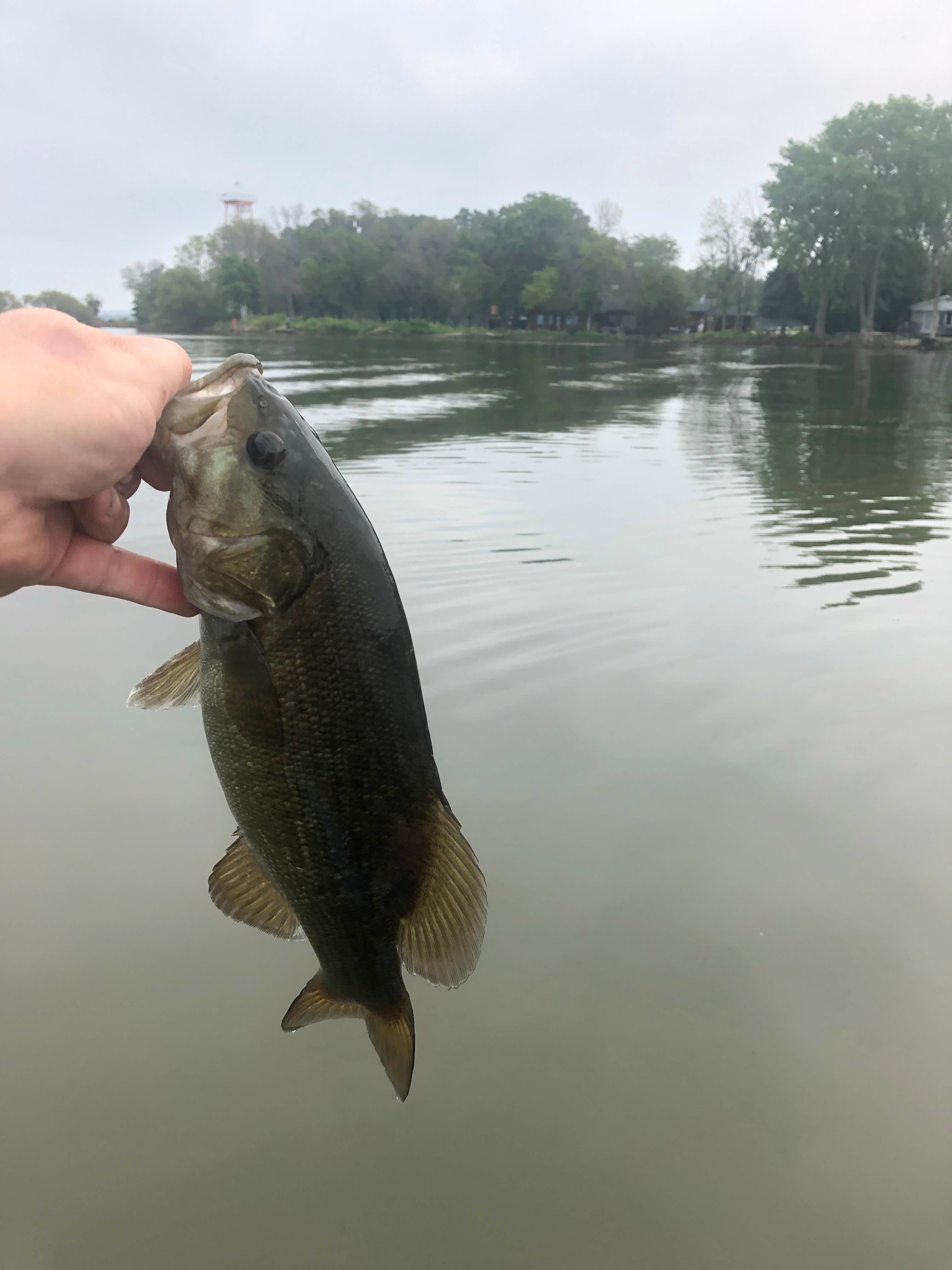 Camper-submitted photo at Columbia County Park near Malone, WI