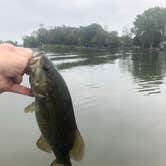 Review photo of Columbia County Park by Michael  L., August 12, 2021