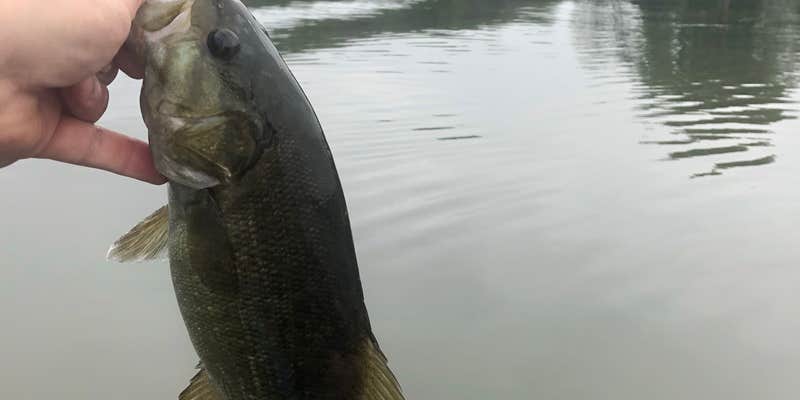 Camper submitted image from Columbia County Park