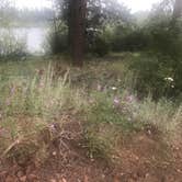 Review photo of West Lake by Erin S., August 12, 2021