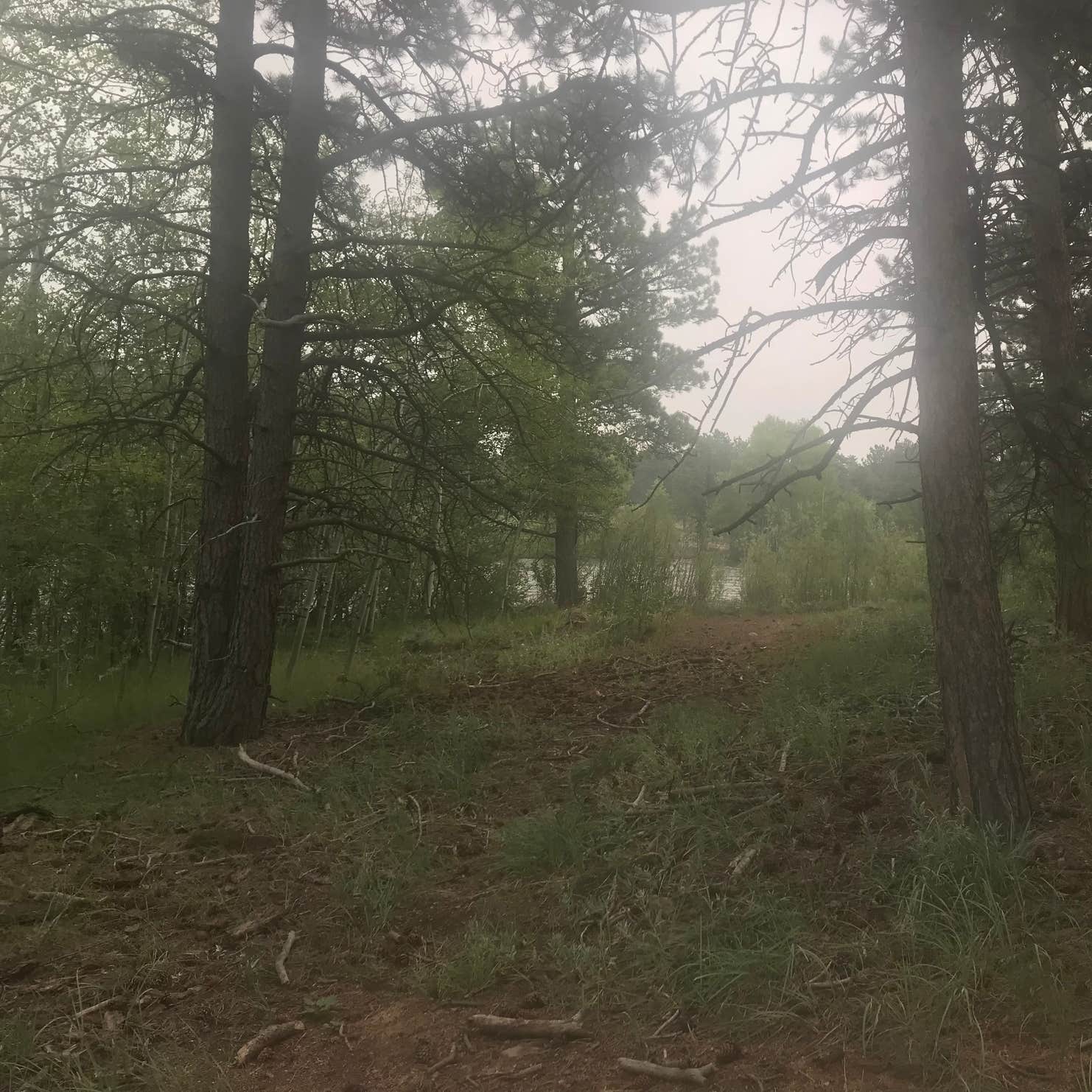 West Lake Camping | Red Feather Lakes, CO