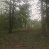 Review photo of West Lake by Erin S., August 12, 2021