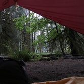 Review photo of Hoh Rain Forest - Olympic National Park by Emily C., June 18, 2018