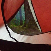 Review photo of Heart O' the Hills Campground — Olympic National Park by Emily C., June 18, 2018