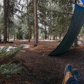 Review photo of Madison Campground — Yellowstone National Park by Emily C., June 18, 2018