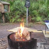 Review photo of Sea Camp Campground — Cumberland Island National Seashore by Charles D., August 12, 2021