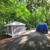 Review photo of Davidson River Campground by Charles D., August 12, 2021