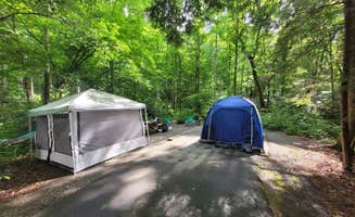 Charles D.'s photo at Davidson River Campground near Horse Shoe, NC